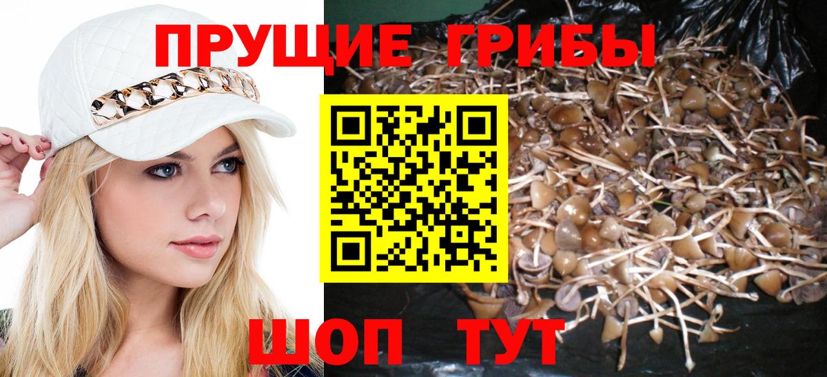 Псилоцибиновые грибы ЛСД Кунгур