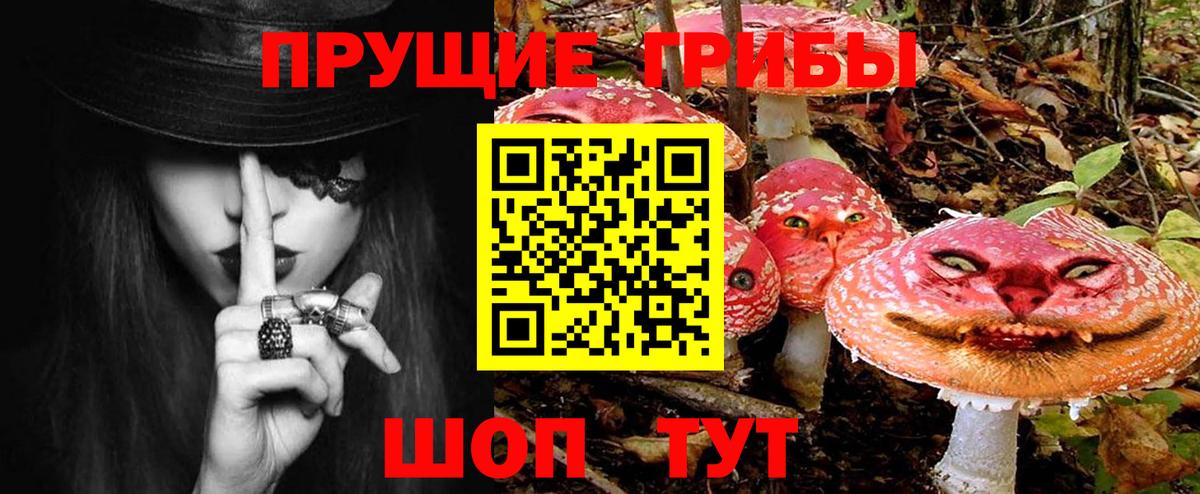 Кунгур  Галлюциногенные грибы ЛСД  Вход с VPN 